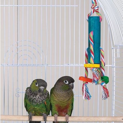 Brainy Bird Teenies Series Bird Toys Tower 10IN