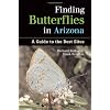 Finding Butterflies in Arizona: A Guide to the Best Sites