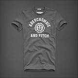 アバクロ ABERCROMBIE&FITCH 【直接買い付け】並行輸入品 メンズ 半袖 Ｔシャツ 【GILLIGAN MOUNTAIN】グレー