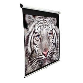 Elite Screens Rollo Beamerleinwand 4:3 203*152cm MaxWhite
