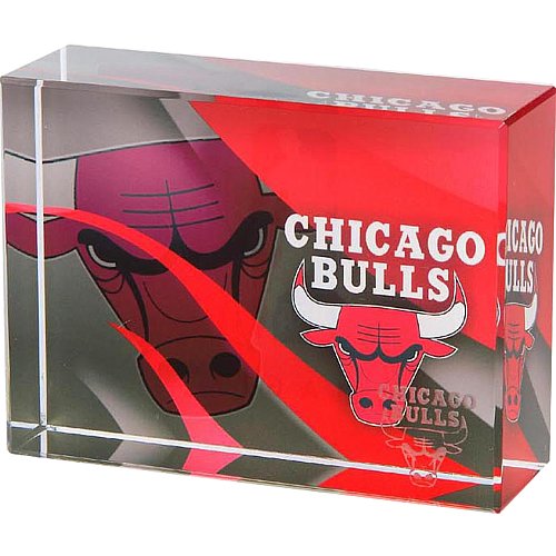 NBA Chicago Bulls Pennant Design Team Logo Desk Ornament/Paperweight