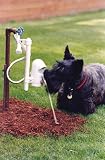 Contech 300000408 WaterDog Automatic Outdoor Pet Drinking Fountain