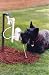 Contech 300000408 WaterDog Automatic Outdoor Pet Drinking Fountain Contech 300000408 WaterDog Automatic Outdoor Pet Drinking Fountain