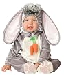 Little Bunny Rabbit Costume - 12-18 months