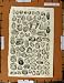 Antique Print C1800-1870 Conchology Shells Sea-Life