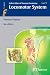 Color Atlas of Human Anatomy
