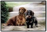 image link - - B000HHS5WG