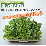 山善(YAMAZEN) 水耕栽培キット 畑deおやさい YVP-40 (家庭菜園)