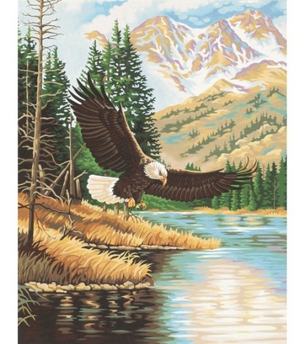 Paint By Number 11''X14''-Eagle In Wilderness