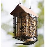 Copper Top Double Suet Cage