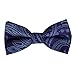 EBD1B01-03 Patterned Beautiful Pre-tied Bowtie Best Gifts for Mens By Epoint