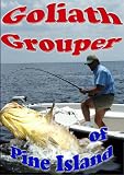 Goliath Grouper of Pine Island Florida