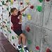 Everlast Climbing 8' x 4' Superior Rock Panel(Price/Set)
