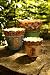 Set Of 3 Thank You God Container