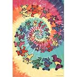 (24x36) Grateful Dead (Spiral Bears) Music Poster Print