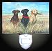 Three Labradors Decorative Night Light
