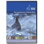 DVD British Birds interactive (PC/Mac)