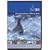 DVD British Birds interactive (PC/Mac)