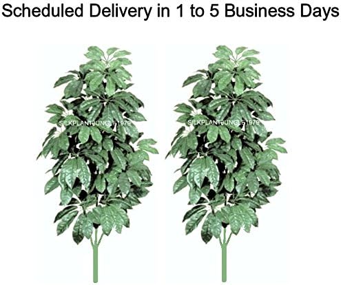 SPJPLANTS Box of Two Silk Artificial 5 foot Large Leaf Schefflera Plant Trees each with 234 leaves