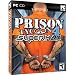 Prison Tycoon 4 Supermax