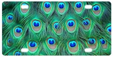 Custom Peacock With Lots Of Feathers Pattern Metal License Plate for Car (New) 12" X 6"