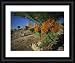 Byblos, Lebanon - Framed Print 10x8 (25x20cm) by Robert Harding