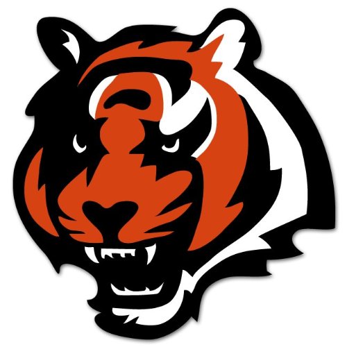 Cincinnati Bengals NFL Football bumper sticker 5