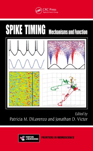 Spike Timing: Mechanisms and Function (Frontiers in Neuroscience)