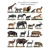Posters: Animaux Poster Reproduction - Animaux D'Afrique (50 x 40 cm)