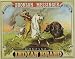 INDIAN WHITE HORSE BUFFALO BRONSON MESSINGER ADV TOLEDO OHIO 14" X 18" VINTAGE POSTER REPRO