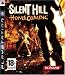 Silent hill homecoming