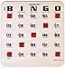 Regal Bingo Bulk Bingo Cards with Sliding Windows - Reusable Large Print Bingo Game Cards for Adults Large Group - 100 Pack, Woodgrain