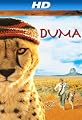 play video on Amazon Instant Video
