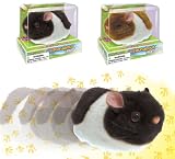 Runabout Hamster The Carefree and Playful Hamster Pet