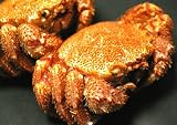 【北海道産:ボイル毛ガニ 約300g】 北海道・オホーツク産毛蟹! 捕れたてを浜茹でし、急速冷凍だから新鮮! 濃厚な蟹味噌とジューシーな蟹肉が絶品♪