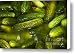 Pickle Barrel Canvas Print / Canvas Art - Artist John Greim