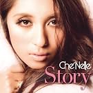 STORY(+DVD)