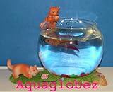 Fish Bowl Aquaglobez Unique Betta Fish Tank Aquarium Bowl Cat Tells