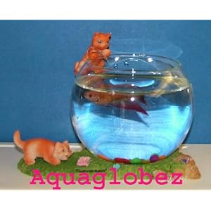 Fish Bowl Aquaglobez Unique Betta Fish Tank Aquarium Bowl Cat Tells