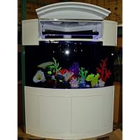 Corals for Aquarium Decoration