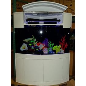 Corals for Aquarium Decoration by AquaVim