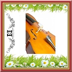 Einsteiger Cello Geigenbauwerkstatt inkl. Zubeh�r 1/4 bis 4/4 (4/4)