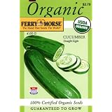 Ferry-Morse3042OrganicCucumberSeeds,StraightEight(4GramPacket)
