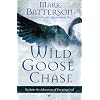 Wild Goose Chase: Reclaim the Adventure of Pursuing God