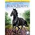 Adventures of Black Beauty: The Complete Series