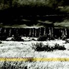 Solos by Robin Holcomb and Wayne Horvitz