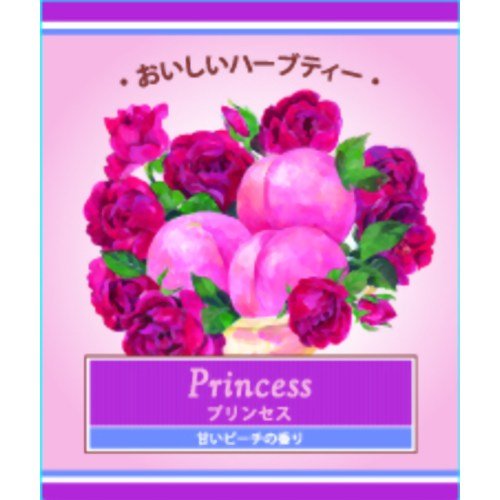 生活の木 おいしいハーブティー プリンセス ティーバック 2g*100袋