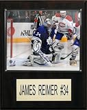 NHL James Reimer Toronto Maple Leafs Player Plaque