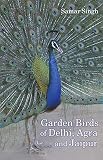 Garden birds of Delhi, Agra & Jaipur