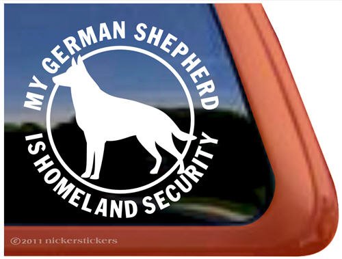 department of homeland security